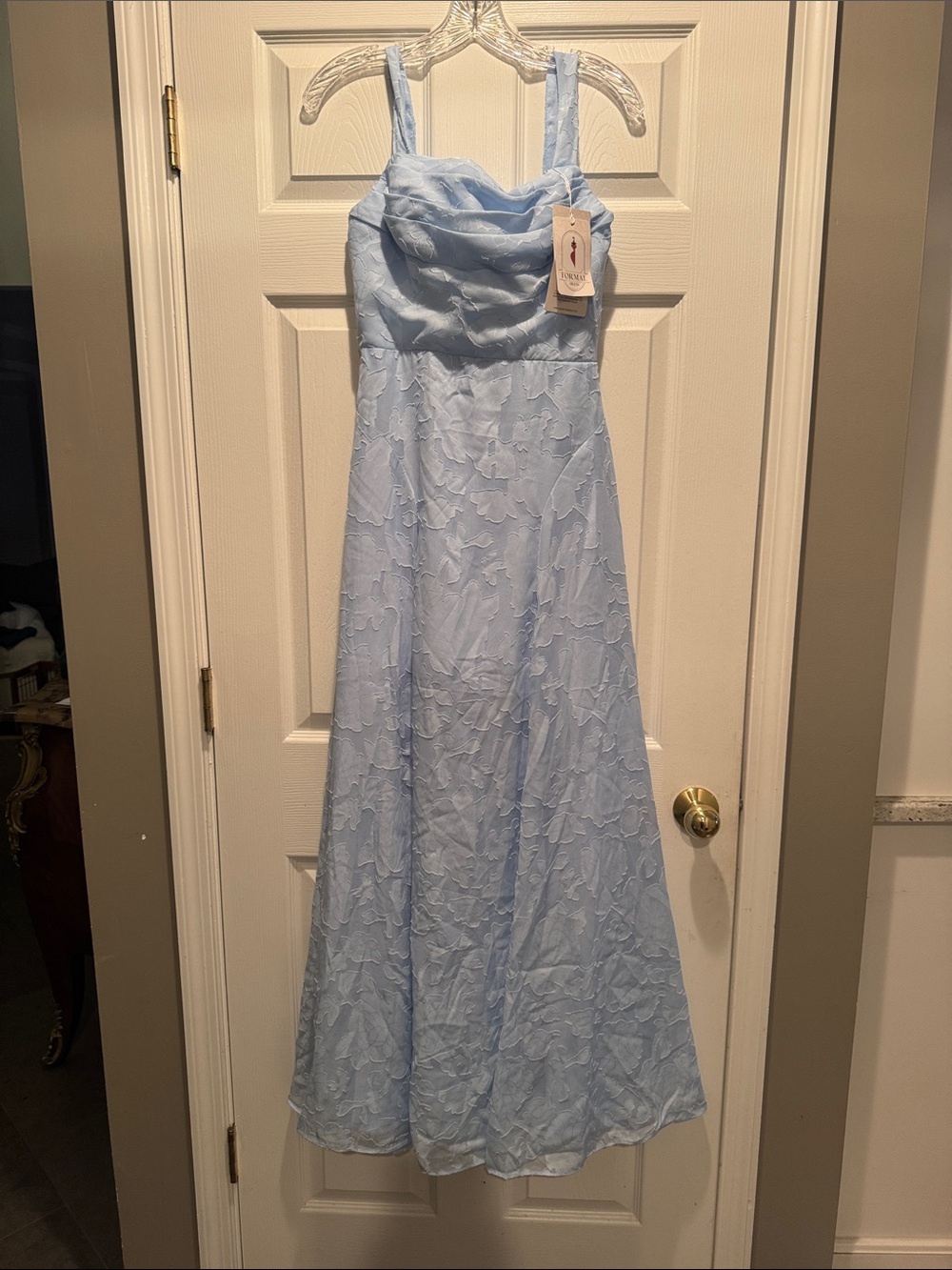 NWT powder blue appliqué floral sleeveless maxi dress with pleated neckline